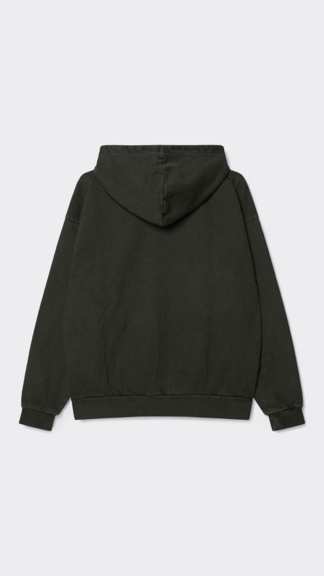 Obey Lowercase Pigment Zip Hood