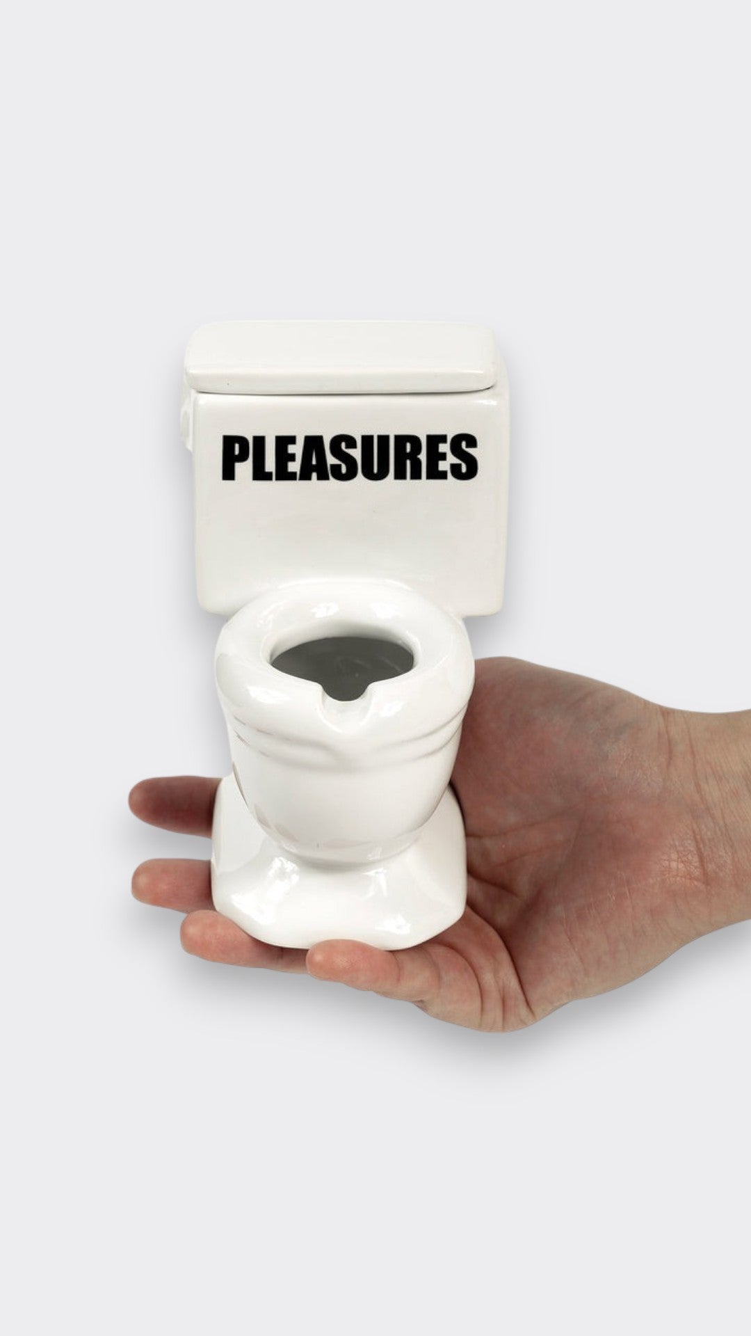 Toilet Ashtray