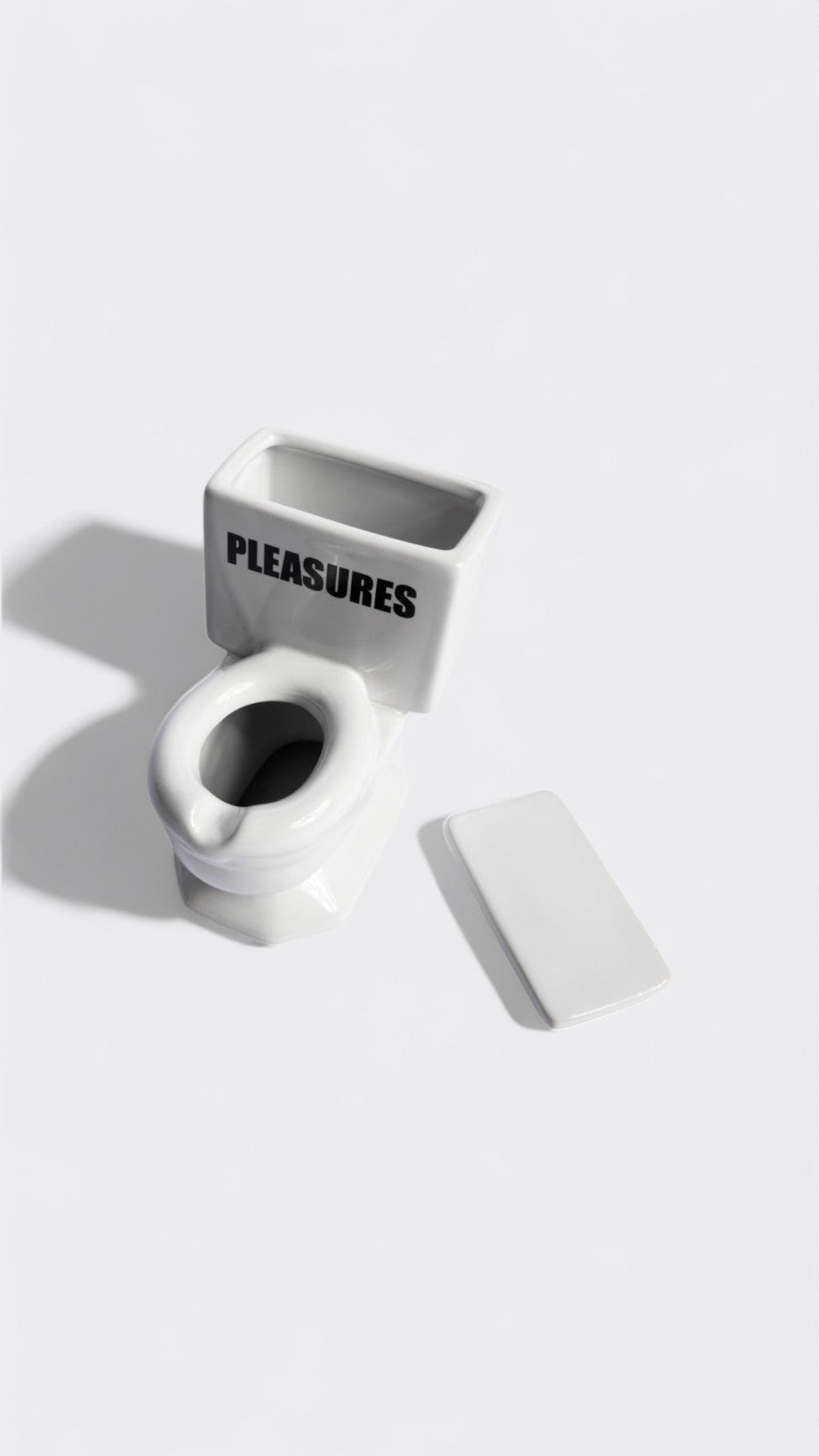 Toilet Ashtray