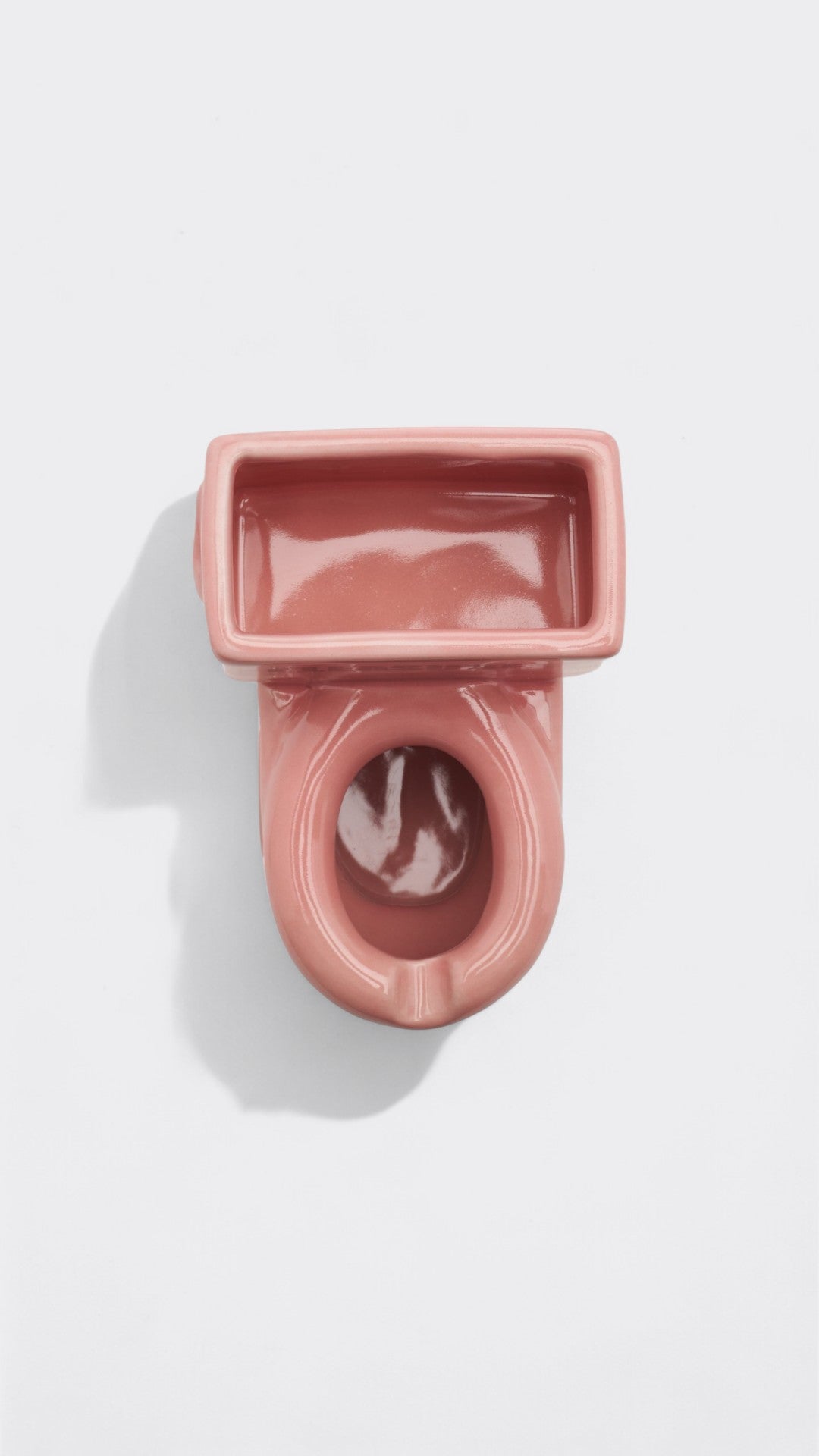 Toilet Ashtray