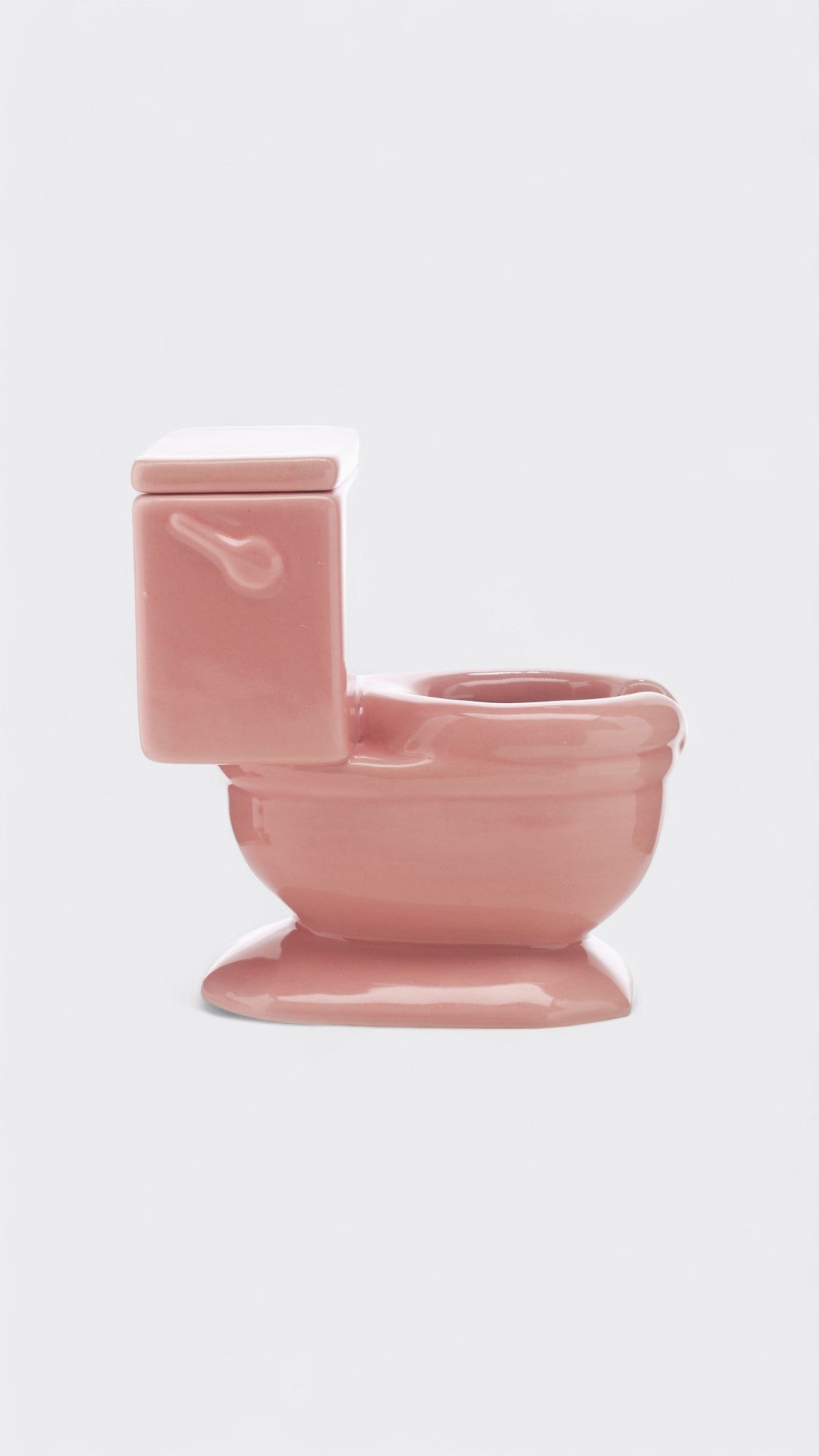 Toilet Ashtray