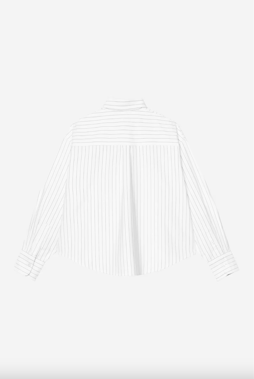 W' L/S Cassel Shirt