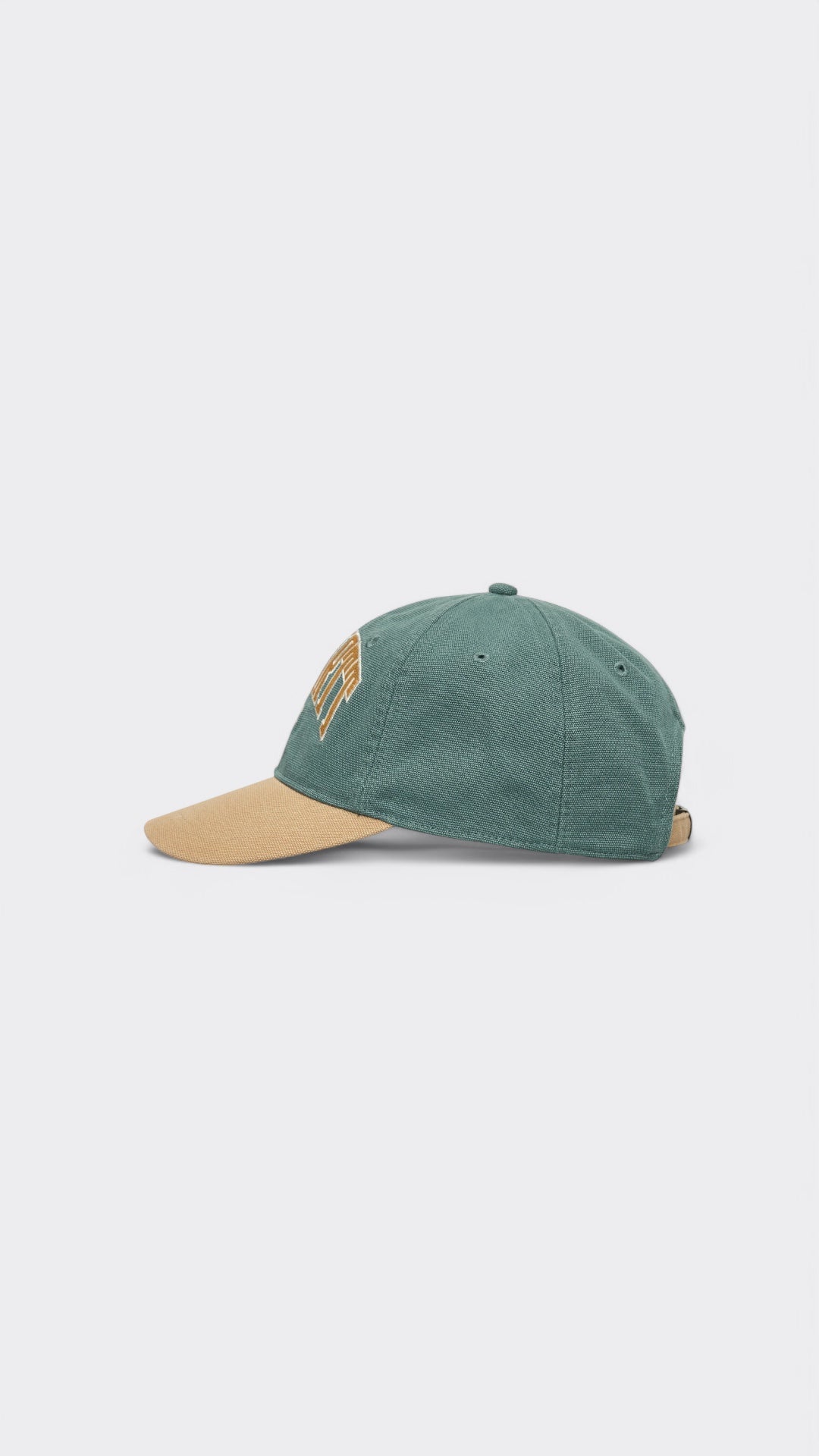 Lecture Cap