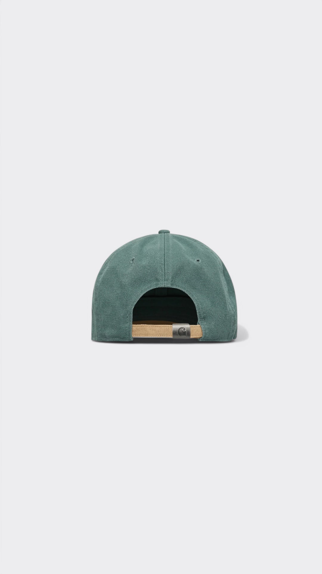 Lecture Cap