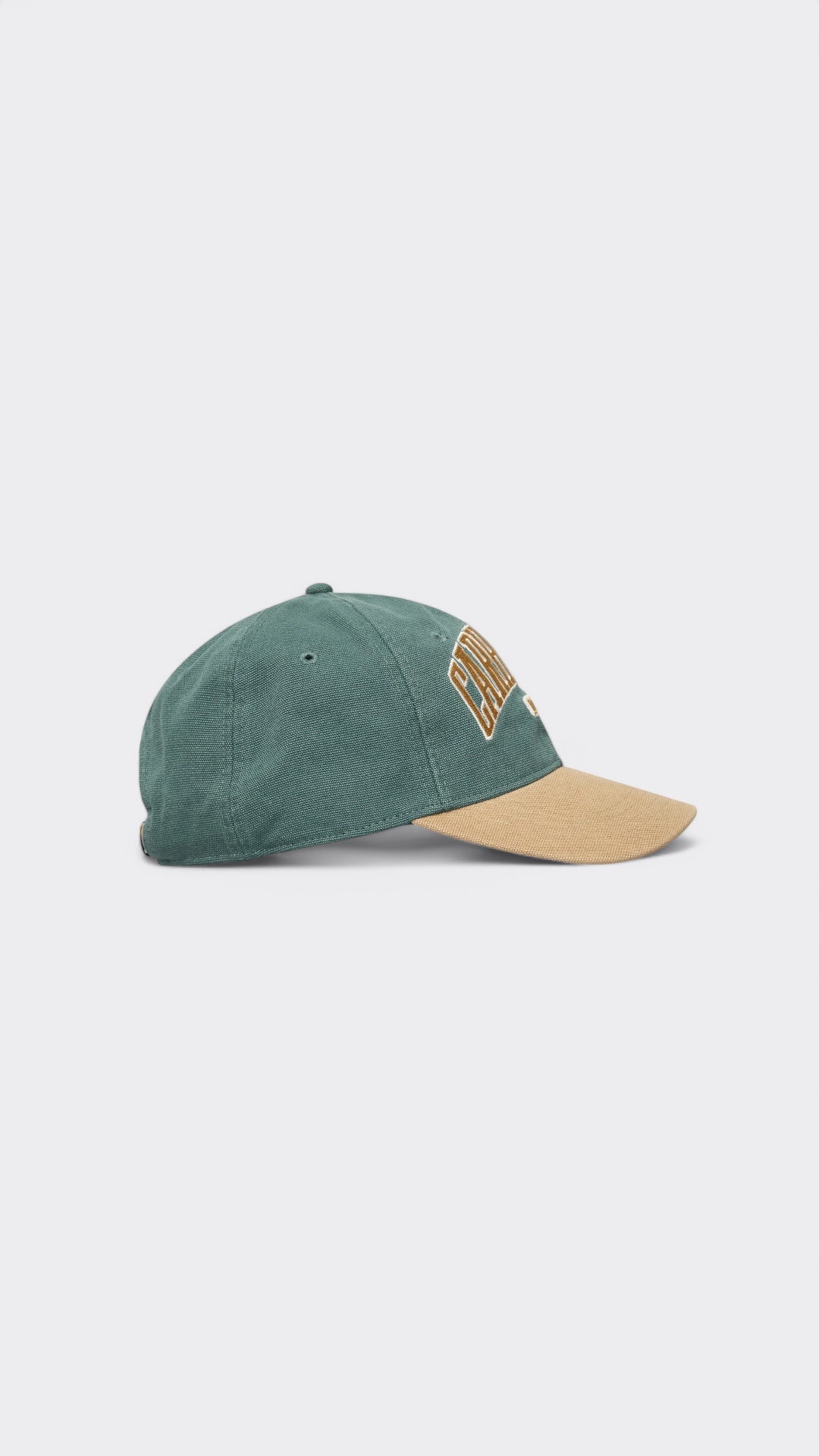 Lecture Cap