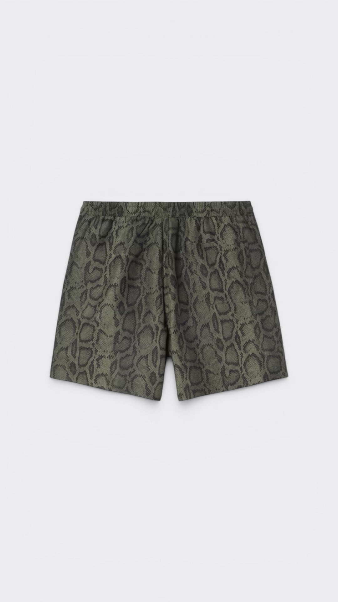 Slater Swim Trunks