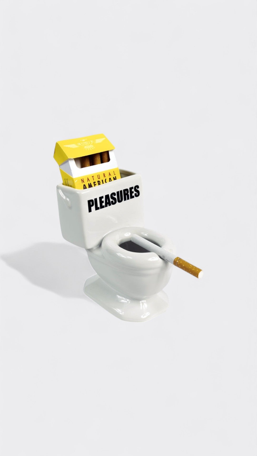Toilet Ashtray