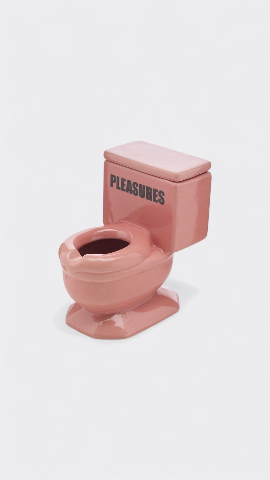 Toilet Ashtray
