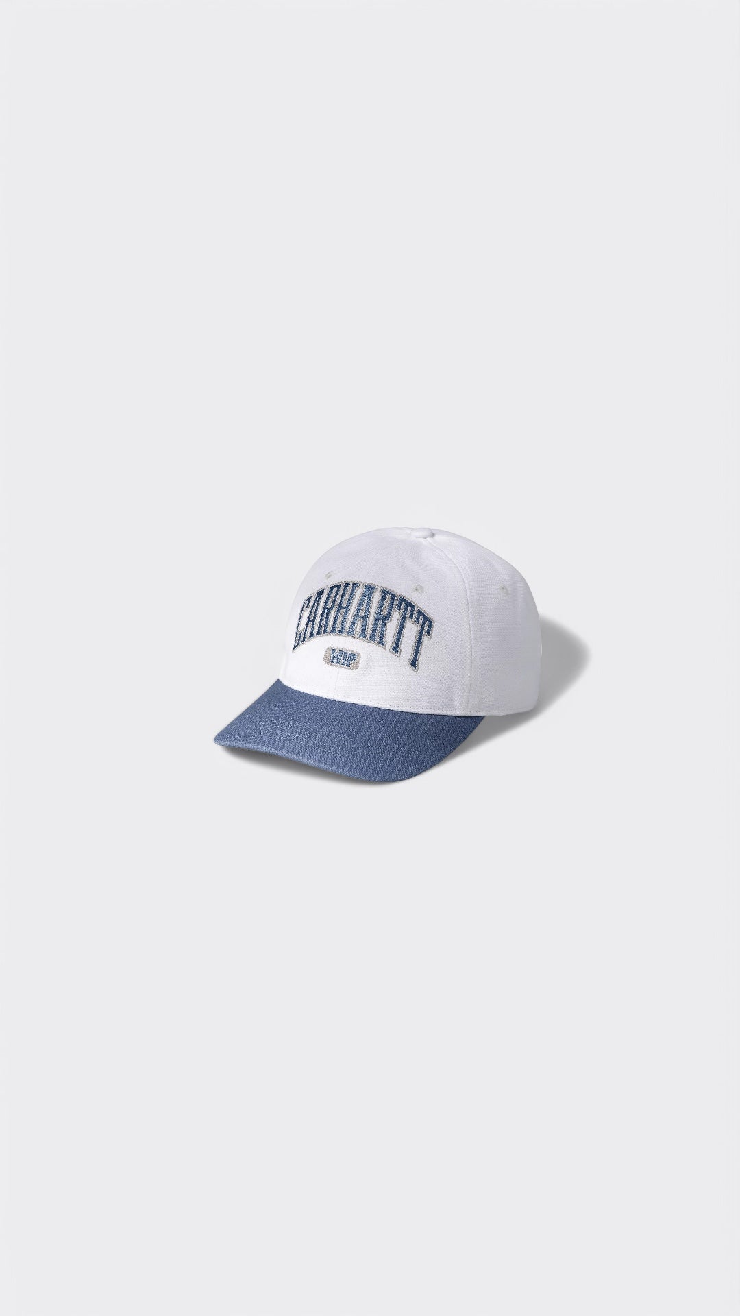 Lecture Cap